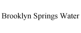 BROOKLYN SPRINGS WATER trademark