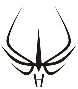 H trademark