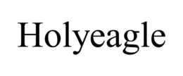 HOLYEAGLE trademark