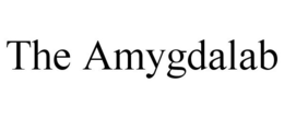 THE AMYGDALAB trademark