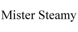 MISTER STEAMY trademark