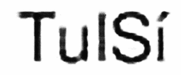 TULSÍ trademark