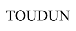 TOUDUN trademark