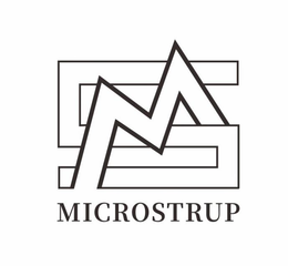 MS MICROSTRUP trademark