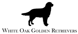 WHITE OAK GOLDEN RETRIEVERS trademark