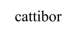 CATTIBOR trademark
