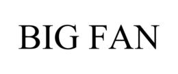 BIG FAN trademark