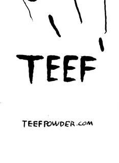 TEEF TEEFPOWDER.COM trademark
