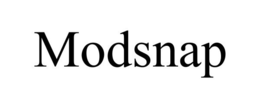 MODSNAP trademark