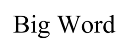 BIG WORD trademark