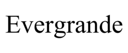 EVERGRANDE trademark