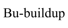 BU-BUILDUP trademark