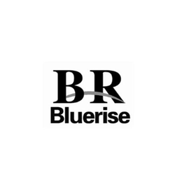 BRBLUERISE trademark