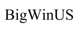 BIGWINUS trademark