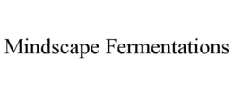 MINDSCAPE FERMENTATIONS trademark