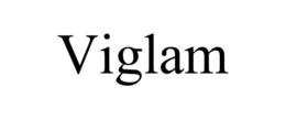 VIGLAM trademark