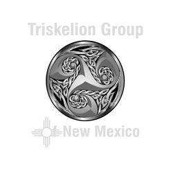 TRISKELION GROUP OF NEW MEXICO trademark