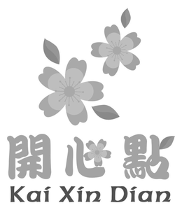 KAI XIN DIAN trademark