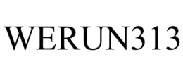 WERUN313 trademark