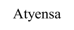 ATYENSA trademark