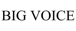 BIG VOICE trademark
