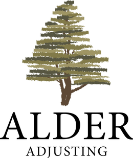 ALDER ADJUSTING trademark