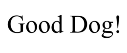 GOOD DOG! trademark