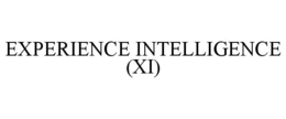 EXPERIENCE INTELLIGENCE (XI) trademark