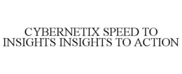 CYBERNETIX SPEED TO INSIGHTS INSIGHTS TO ACTION trademark