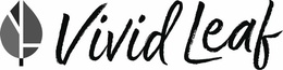 VIVID LEAF trademark