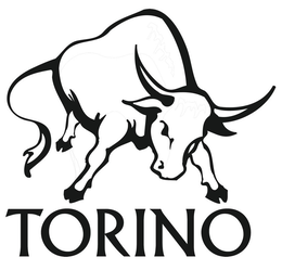 TORINO trademark