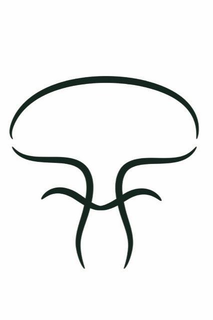FF trademark