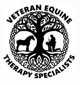 VETERAN EQUINE THERAPY SPECIALISTS trademark