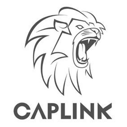 CAPLINK trademark
