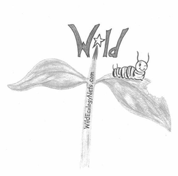 WILD WILDECOLOGYNETS.COM trademark