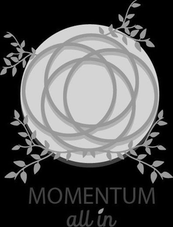 MOMENTUM ALL IN trademark