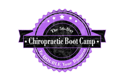 THE 56-DAY CHIROPRACTIC BOOT CAMP TO DOUBLE YOUR BUSINESS trademark