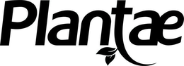 PLANTAE trademark
