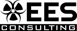 EES CONSULTING trademark