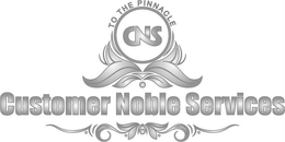 TO THE PINNACLE CNS CUSTOMER NOBLE SERVICES trademark