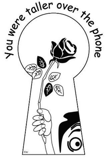 YOU WERE TALLER OVER THE PHONE trademark