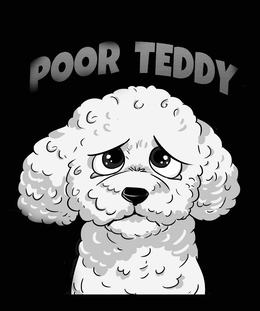 POOR TEDDY trademark