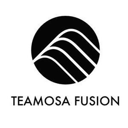 TEAMOSA FUSION trademark