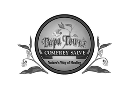 PAPA TOWN'S COMFREY SALVE NATURE'S WAY OF HEALING trademark