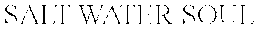 SALT WATER SOUL trademark