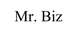 MR. BIZ trademark