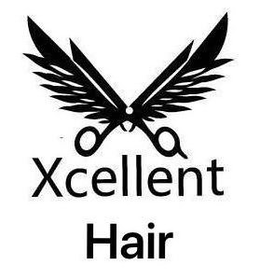 XCELLENT HAIR trademark