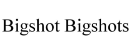 BIGSHOT BIGSHOTS trademark