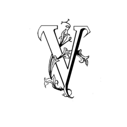 V trademark