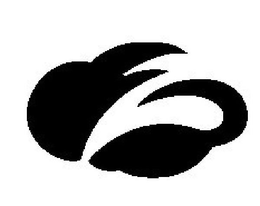 Z trademark